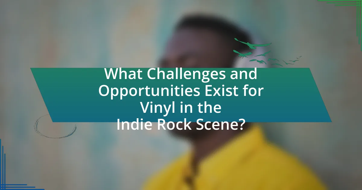 What Challenges and Opportunities Exist for Vinyl in the Indie Rock Scene?