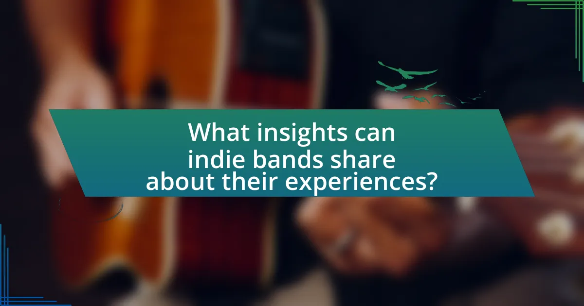 What insights can indie bands share about their experiences?